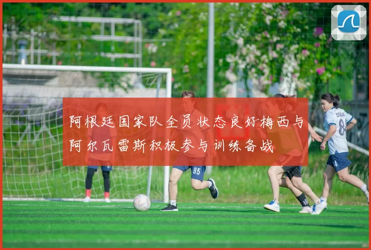 阿根廷国家队全员状态良好梅西与阿尔瓦雷斯积极参与训练备战