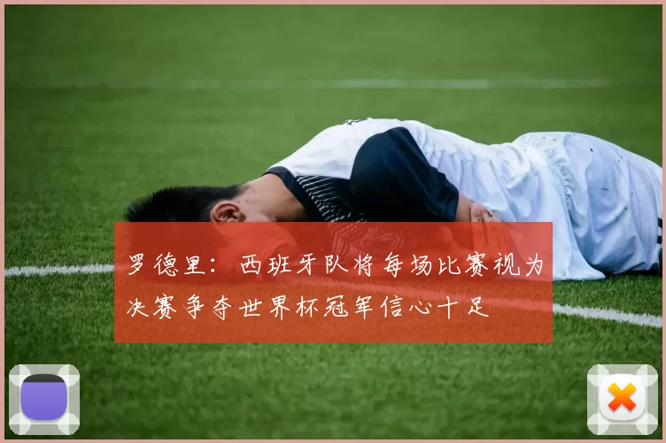 罗德里：西班牙队将每场比赛视为决赛争夺世界杯冠军信心十足